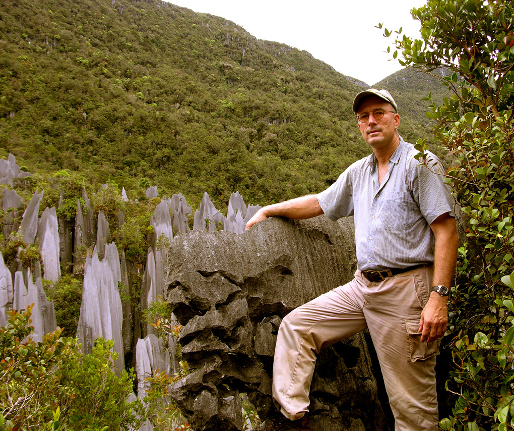 Overlooking the Pinnacles of Gunung Api at Gunung Mulu National Park in Sarawak, Malaysia. Learn about tropical natural history at the source.